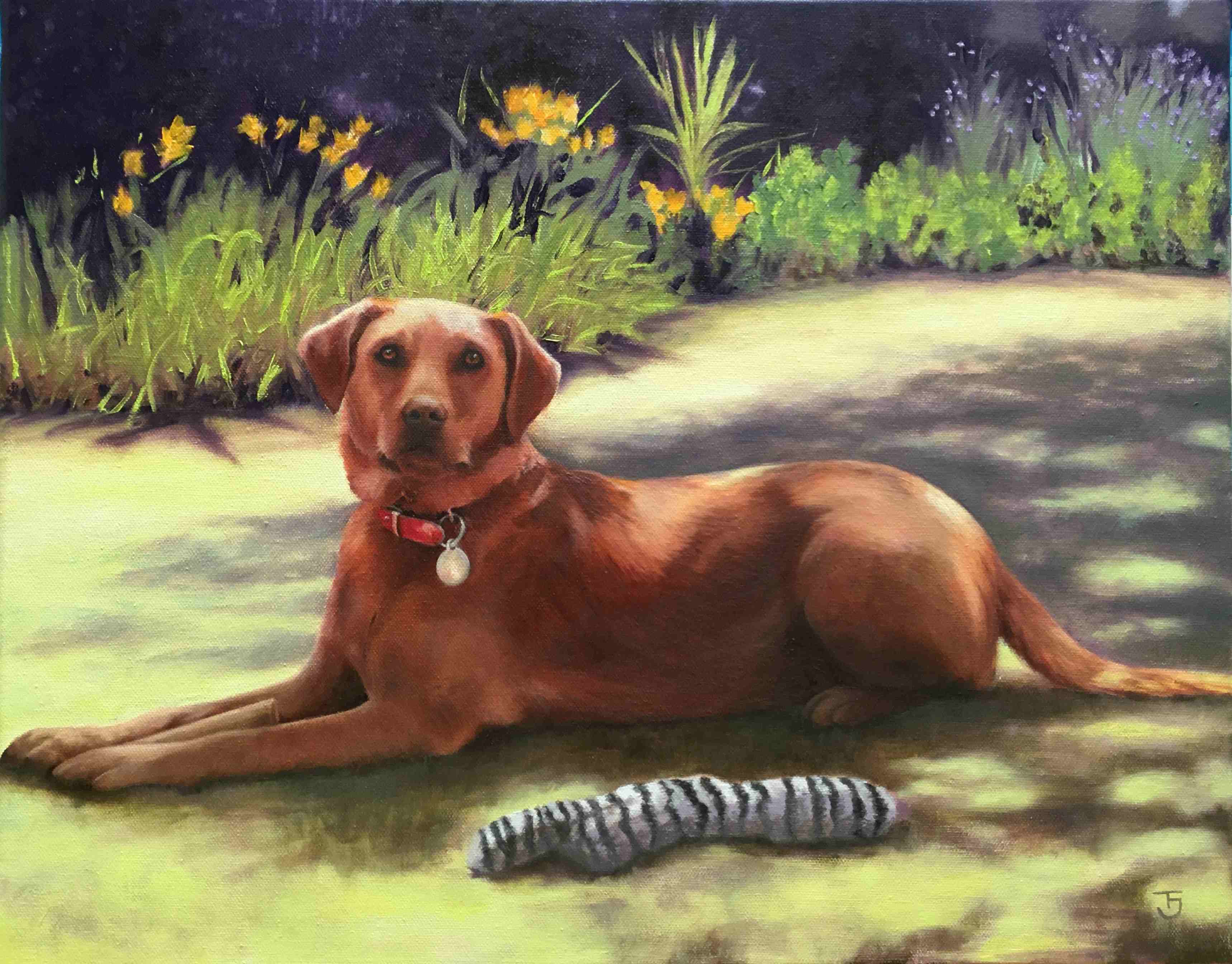 Mollie (oil on canvas)